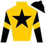 leschuler Silks
