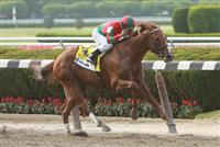 Birdrun with jockey Rajiv Maragh wins the 123rd running of the Grade 2 Brooklyn Handicapat Belmont Park