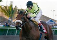 Quality Road wins Fountain of Youth
