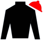 Joe22Doc Silks