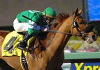 February 13, 2010.Caracortado riden by Paul Atkinson, wins The Robert B. Lewis Stakes at Santa Anita Park, Arcadia, CA 