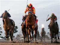 Lookin at Lucky wins Hollywood Futurity