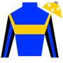 trueturf Silks