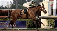 Mucho Macho Man Sunshine Millions