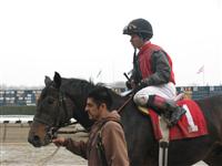 IMG 4550 2