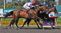 First Dude wins 2011 Hollywood Gold Cup.