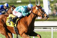 Striking Dancer wins the 2010 La Canada Stakes at Santa Anita