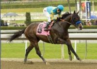 Bodemeister Bodemeister