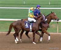 Consolidator, Rafael Bejarano, steve queen, breeders cup