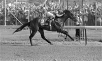Spend A Buck wins the 1985 Derby