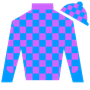 Thunderbird234 Silks