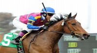 May 7, 2011.Star Billing ridden by Chantal Sutherland winning the Senorita Stakes at Hollywood Park, Inglewood, CA. 