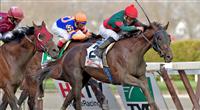 Toby's Corner wins Wood Memorial Toby's Corner
