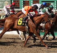 Crafty Cal with Miguel Mena at Fair Grounds