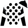 racer1 Silks
