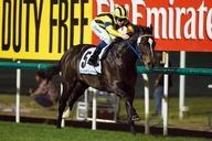 Shadai Race Horse Co. Inc.