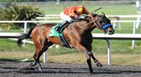 July 16, 2011.Irish Gypsy ridden by Martin Garcia, winning the A Gleam Handicap at Hollywood Park, Inglewood, CA 