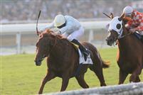 Conduit rolls to victory over Presious Passion in the 2009 Breeders' Cup Turf. 
