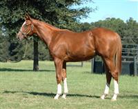 Prix de Karakorum
