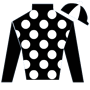 thatbigbay Silks