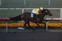 Winning the Starlet