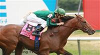 Gio Ponti top story.