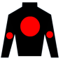 struff2011 Silks