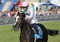 09 September 20: Ventura, ridden by Garrett Gomez and trained by Bobby Frankel, wins the grade 1 Woodbine Mile Stakes for three year olds and upward at Woodbine Racetrack in Rexdale, Ontario.
