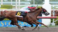 This Ones For Phil wins Sunshine Millions Sprint at Gulfstream Park. 