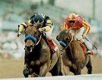 Indian Charlie takes the SA Derby