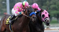 Midnight Interlude noses Comma To The Top in the 2011 Santa Anita Derby