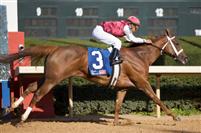Seventh Street takes the Apple Blossom at Oaklawn - 2009