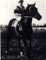 Nearco 1