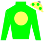 shores Silks