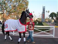 Three Vases @ Santa Anita
