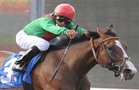 August 20, 2011 .Summer Soiree ridden by Gabriel Saez winning the Del Mar Oaks to Del Mar Thoroughbred Club, Del Mar, CA. 