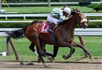 Cafe de Aristes at Saratoga 2010
