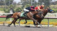July 9, 2011.Dreamy Kid ridden by Joseph Talamo coming up on the outside to win te Swaps Stakes at Hollywood Park, Inglewood, CA 