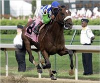 Barbaro wins the 2006 Kentucky Derby