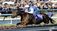 Goldikova top story. 
