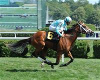 Captain Webb breaks maiden at Saratoga. 