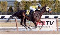 Rein King Win Photo 1/20/11 