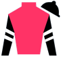 teamo Silks