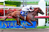 Drosselmeyer winning an allowance race at Gulfstream Park
