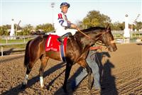 Jan 2011: Wilkinson and Garrett Gomez (1) after winning the Lecomte Stakes at the Fairgrounds in New Orleans, Louisiana. 