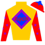 RuffianQueenOfRacing Silks
