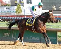 Ever So Lucky wins his debut