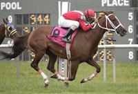 Suzzona, ridden by Julien Pimentel wins the Turf Amazon Handicap at Parx Racing on September 5th.