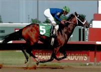 Fast Freight driving to victory in his first out - a Maiden Special Weight at Prairie Meadows