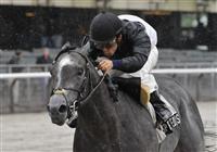 Despite the Odds captures the 2009 Hill Prince